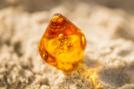 琥珀色的波罗地海的海滩上照片