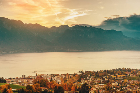 Lavaux 葡萄园的令人惊叹的秋天风景, 瑞士利维拉, 洛桑, 沃州, 瑞士的小行政区