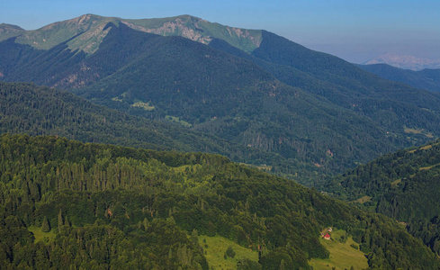 在山中风景