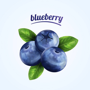 现实的蓝莓图片-现实的蓝莓素材-现实的蓝莓插画-摄图新视界