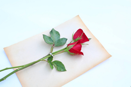 红玫瑰花朵与旧棕色纸白色背景上的结婚戒指