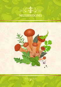 食用菌海报照片
