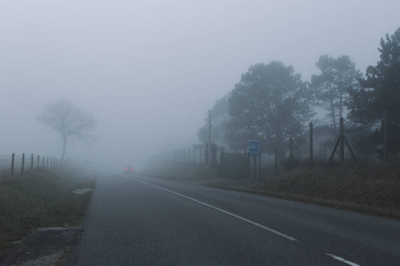 国家柏油路穿过法国诺曼底地区的森林和田野。在雾蒙蒙的日子里的乡村风景。汽车大灯在晚上。色调