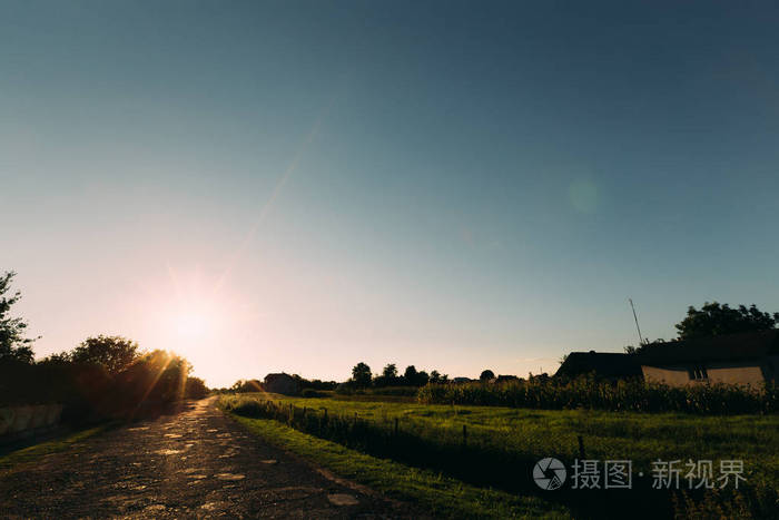 阳光下的空村沥青路