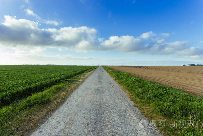 空旷的柏油路穿过绿色和开花的农田.在法国阳光明媚的春日, 乡村景观.