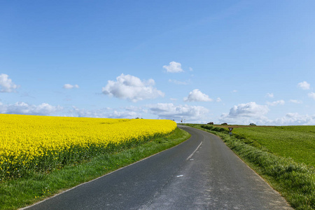 空旷的乡村柏油路穿过绿色和开花的农田。在法国诺曼底一个阳光明媚的春日, 乡村景观