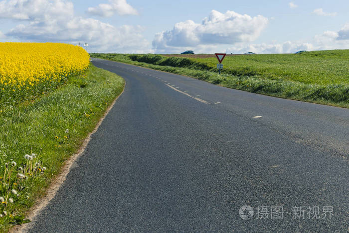 空旷的乡村柏油路穿过绿色和开花的农田.