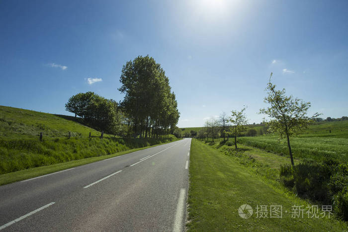 空旷的柏油路穿过绿色和开花的农田.在法国阳光明媚的春日 乡村景观.