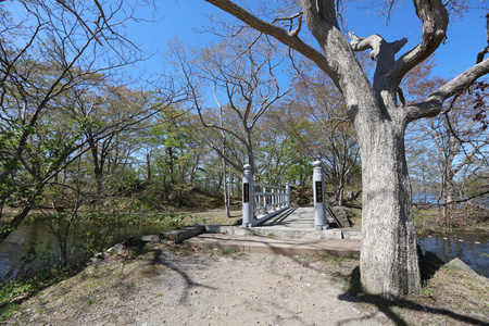 森林和大沼, 函馆, 北海道, 日本