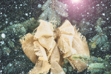 新的一年或天然绿色枞树上的圣诞蝴蝶结