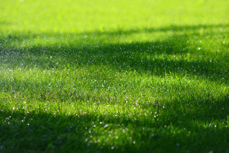 感受新鲜,生态,清洁,清新的空气照片