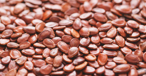 食用西瓜种子图片