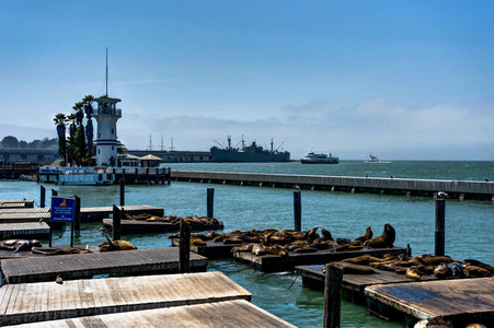 在旧金山加利福尼亚州 U 码头39渔人码头的密封