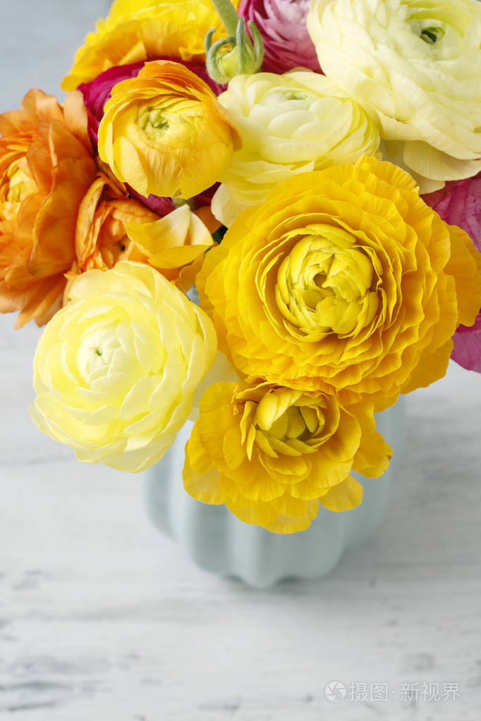七彩花毛茛的花束