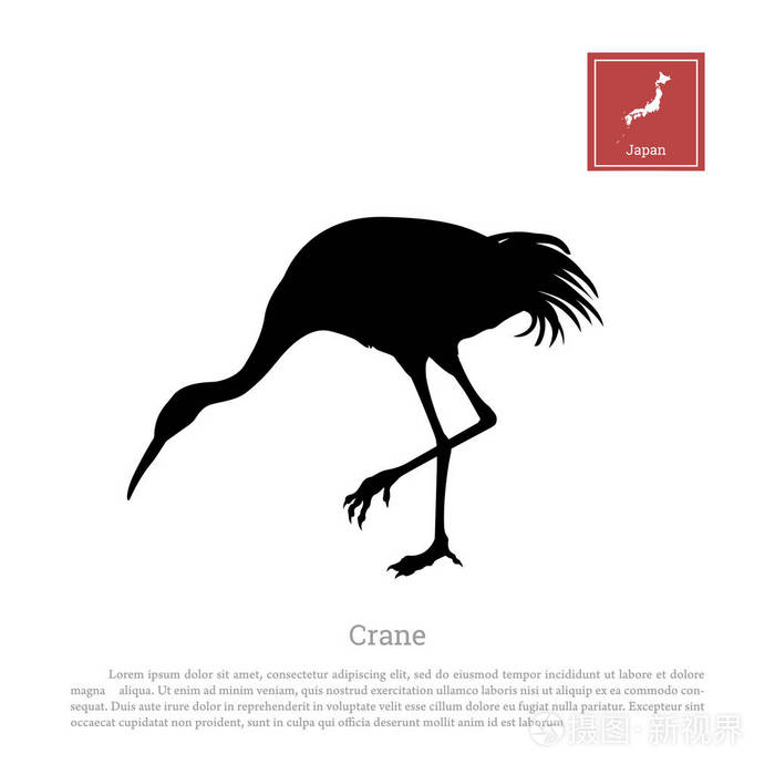 白色背景的日本鹤的黑色剪影。鸟的形象。日本的动物