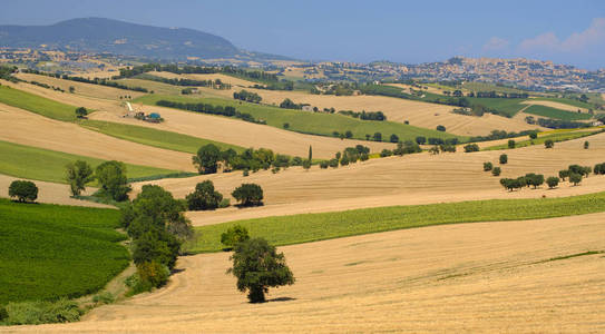 夏日风景在 Montefano 附近 意大利