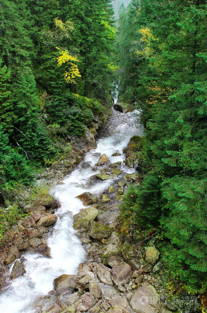 森林里的山涧美丽的风景