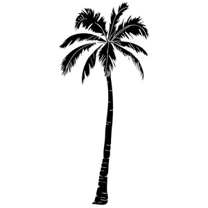 孤立的黑色矢量单棕榈树剪影图标