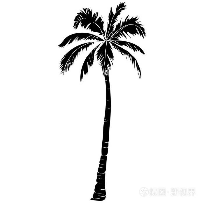 孤立的黑色矢量单棕榈树剪影图标