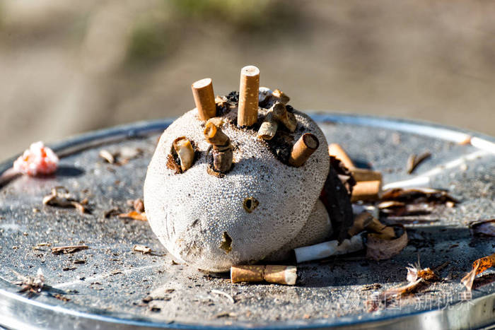 一个盛满烟熏香烟的蘑菇