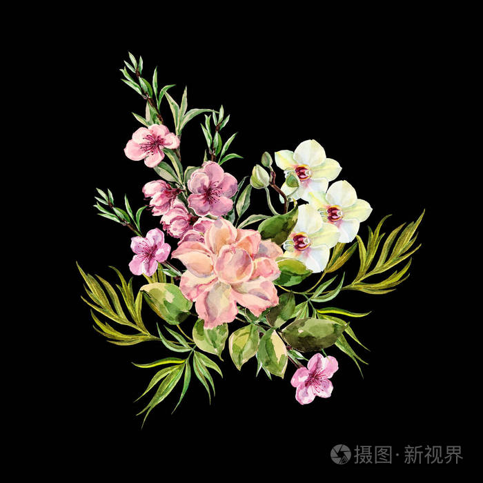 水彩春天花束在黑色背景照片 正版商用图片0zsxfs 摄图新视界 水彩春天花束在黑色背景照片 正版商用图片0zsxfs 摄图新视界