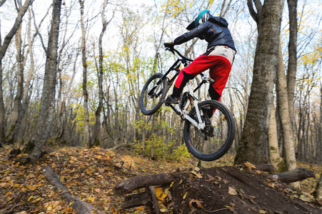 一个年轻的骑手在他的山地自行车的车轮在秋季森林下山的跳板上跳跃的伎俩