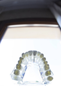 牙科牙齿口腔模型图片