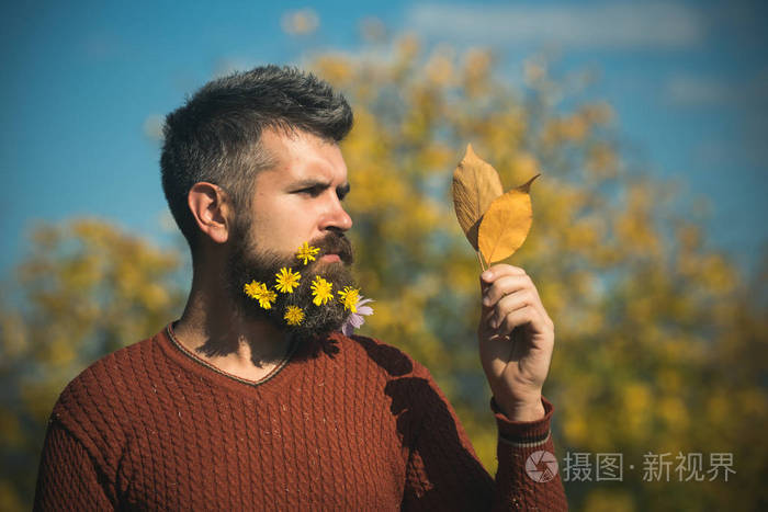 阳光明媚的自然花胡子男人落