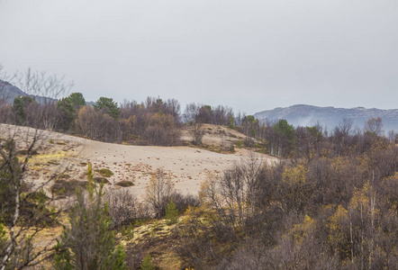 贫瘠沙漠挪威中部一个美丽的沙丘.斯堪的纳维亚中部的北部沙漠秋天.
