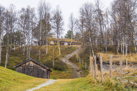 森林里的一座美丽的木屋, 屋顶上长满了青草和苔藓。天然屋顶, 在挪威的传统建筑。美丽的秋天风景