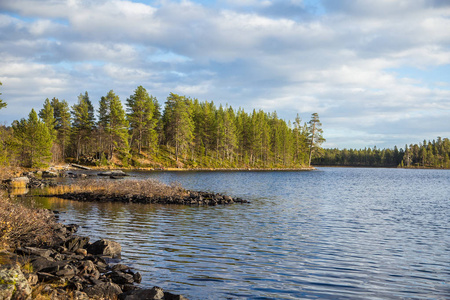 一个美丽的秋天风景在湖的海岸在 Femundsmarka 国家公园在挪威。秋季季节风光