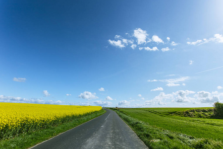 空旷的乡村柏油路穿过绿色和开花的农田。在法国诺曼底一个阳光明媚的春日, 乡村景观