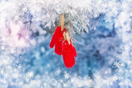 冬天松树上的红手套