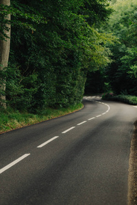空荡荡的乡村沥青曲线路穿过法国诺曼底地区的绿色森林。自然乡村景观交通和路网概念