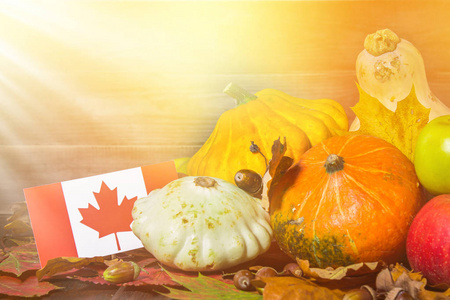加拿大的感恩节快乐。蔬菜, 南瓜, 南瓜, 苹果, 枫木和橡木叶子, 橡果在木头背景。木桌上的丰收和黄秋叶