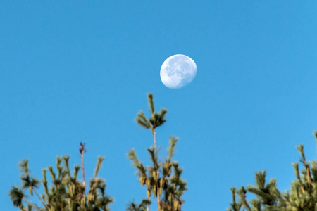 白天月亮图片