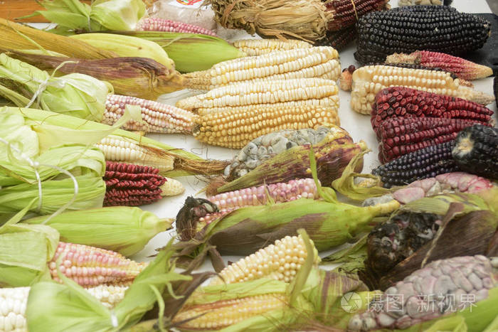 墨西哥玉米多样性, 白玉米, 黑玉米, 蓝色玉米, 红色玉米, 野生玉米和黄色玉米在墨西哥当地市场