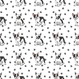 无缝图案与可爱的法国斗牛犬在白色背景。矢量图。