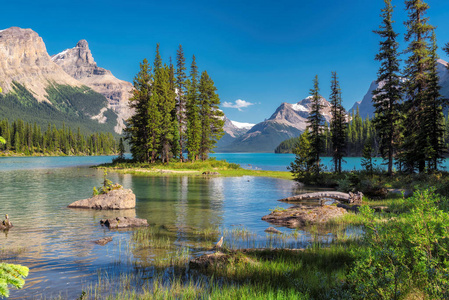 碧玉国家公园 Maligne 湖中的灵岛