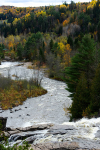 秋天, 河流中的急流涌进了树林