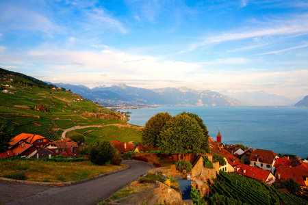 瑞士HDR图像莱曼湖日内瓦湖拉沃地区的葡萄园。