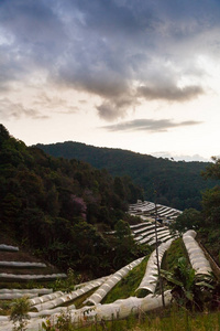 温室和山的风景