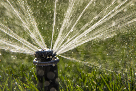 一个旋转的洒水器向后院喷洒水照片