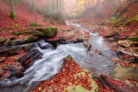 瀑布的壮观的看法在秋天山毛榉森林里