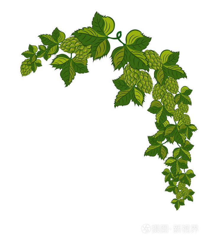 矢量插画-正版商用图片0zuc68-摄图新视界