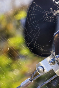 钢缆绞车与蜘蛛网详细信息