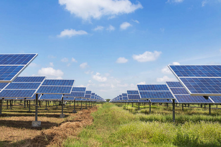 太阳能发电厂多晶硅太阳能电池阵列的排成一缕阳光从太阳中吸收阳光利用光能发电从太阳中发电替代可再生能源