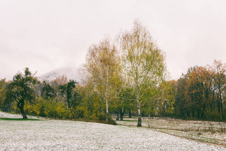 在秋天的公园里下了第一场雪