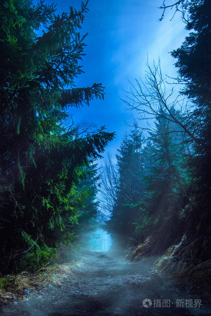 夜晚的童话森林