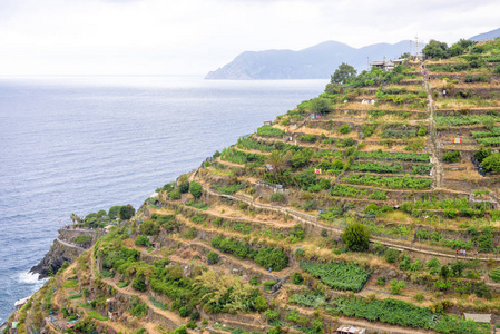 美丽的景色 Manarola 山脉和海洋的一部分